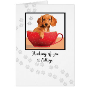 Thinking of You at College Cute Dachsund Dog