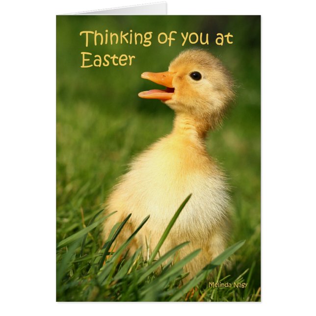 Thinking of you at easter (Front)