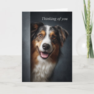 Thinking of You Australian Shepherd Card