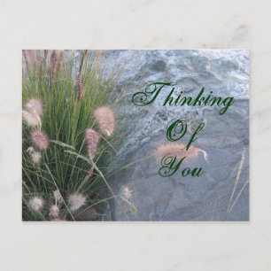Thinking of You beach photo Postcard