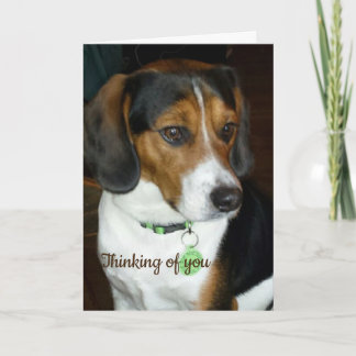 Thinking of You Beagle Card