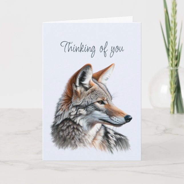 Thinking of You Beautiful Coyote Wildlife Animal  Card (Front)