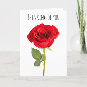 Thinking of You Beautiful Red Rose Holiday Card