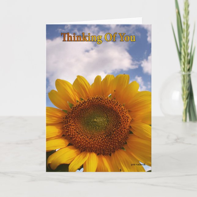 Thinking of you, big daisy card (Front)