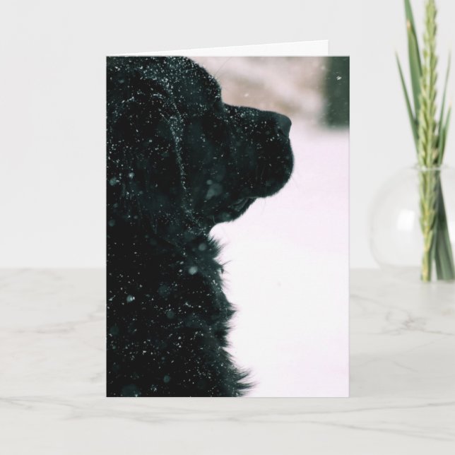 Thinking of You ~ Black Newfoundland Card (Front)