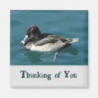 Thinking of You Black White Duck Lake Animal