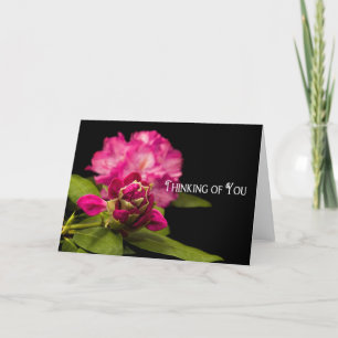 THINKING OF YOU - BLANK CARD - RODODENDRONS