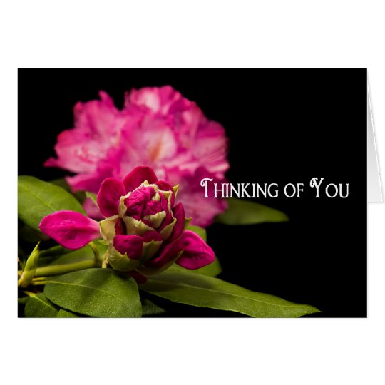 THINKING OF YOU - BLANK CARD - RODODENDRONS