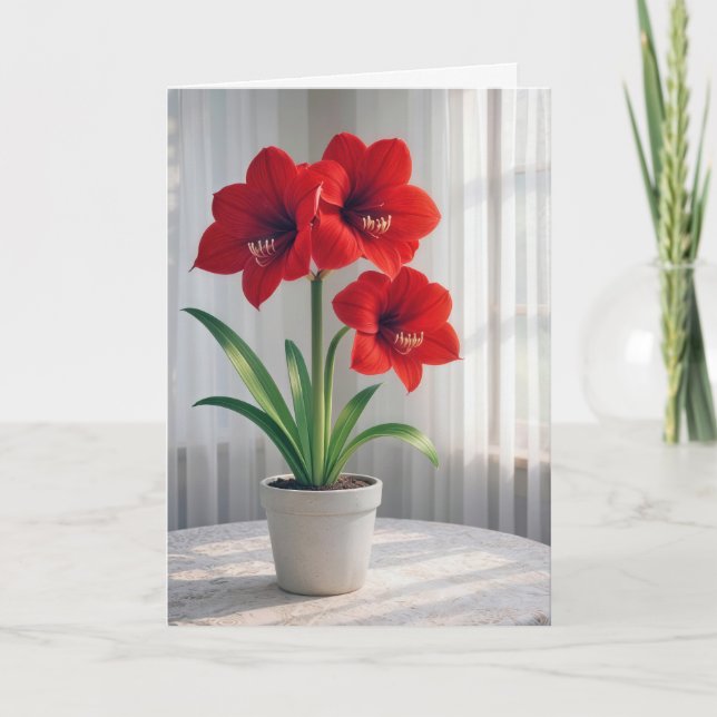 Thinking of You Blooming Red Amaryllis  Card (Front)