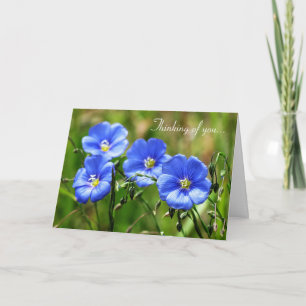 Thinking of you - Blue Flowers Card