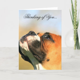 Thinking of You boxer dog greeting card