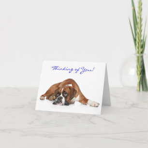 Thinking of You Boxer Note Card - Blank Inside