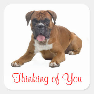 Thinking of You Boxer Puppy Dog Greeting Sticker