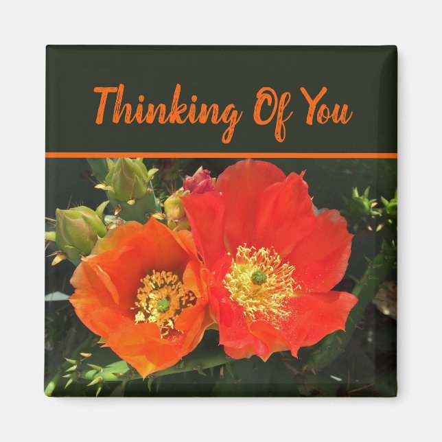 Thinking of You Bright Red Cactus Photo Flower Magnet (Front)