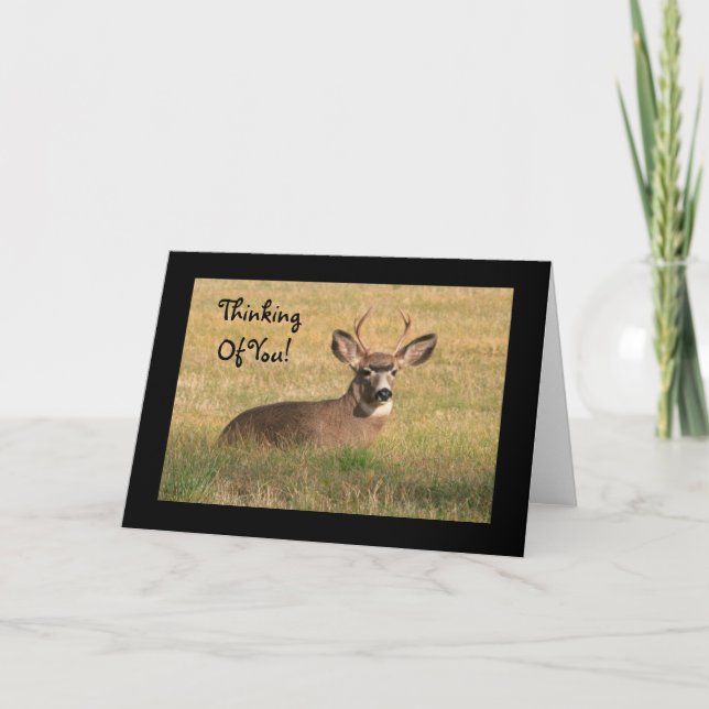 Thinking Of You Buck Card (Front)