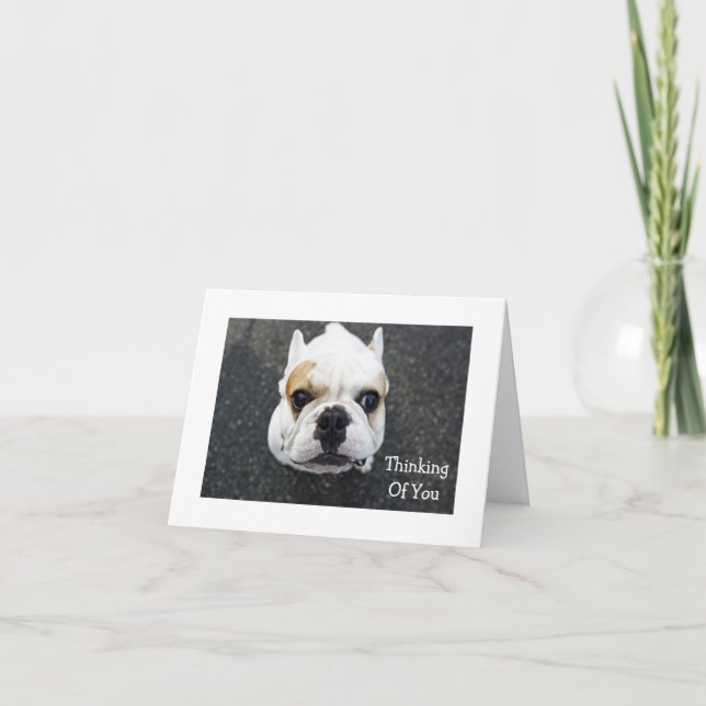 Thinking of You Bulldog Greeting Card (Front)