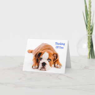 Thinking of You Bulldog Greeting Card