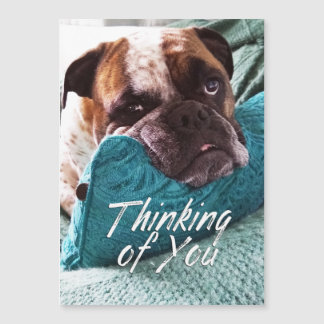 Thinking of You Bulldog Photo Magnetic Card