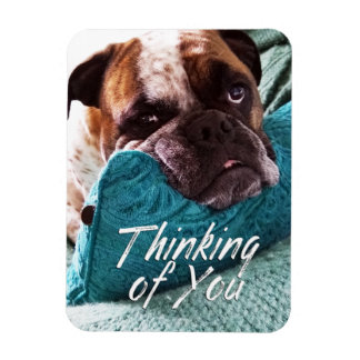 Thinking of You Bulldog Photo Sympathy Magnet