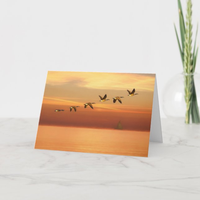 Thinking of You, Canada Geese in Flight at Sunset Card (Front)