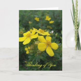 Thinking of You Card