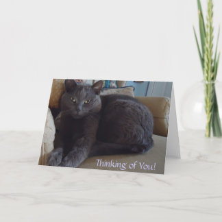 Thinking of You Card