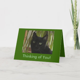 Thinking of You! Card