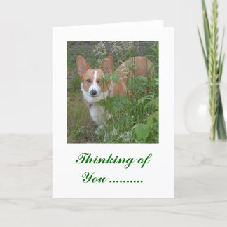 Thinking of You  ... Card