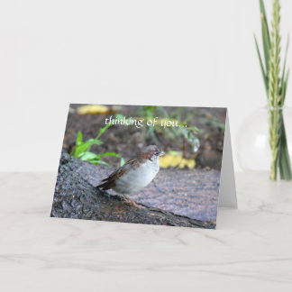 thinking of you... card