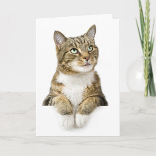 Thinking of You Card