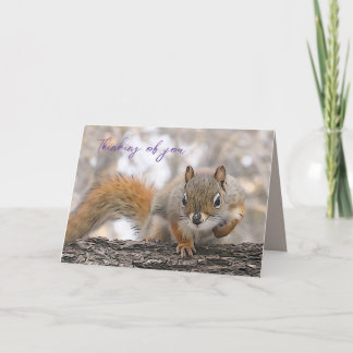 Thinking of you card 7 x 5" Mr. Bickles