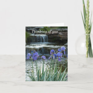 Thinking Of You Card - Irises At Chateau