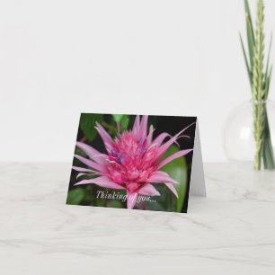 Thinking Of You Card - Pink Beauty