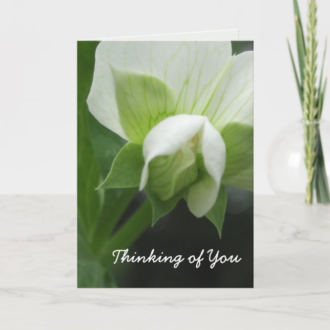 Thinking of You Card template customisable (Front)
