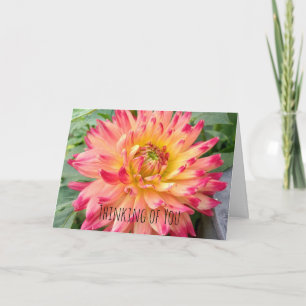 Thinking of You card with pink and yellow dahlia