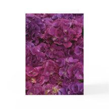 Thinking of you card with pink hydrangea flowers