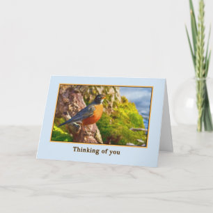 Thinking of You  Card with Robin