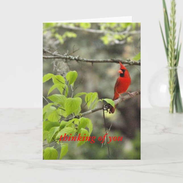 thinking of you/ cardinal card (Front)