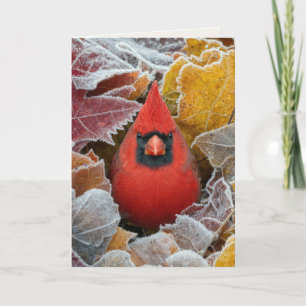 Thinking of You Cardinal in Frosty Autumn Leaves Card