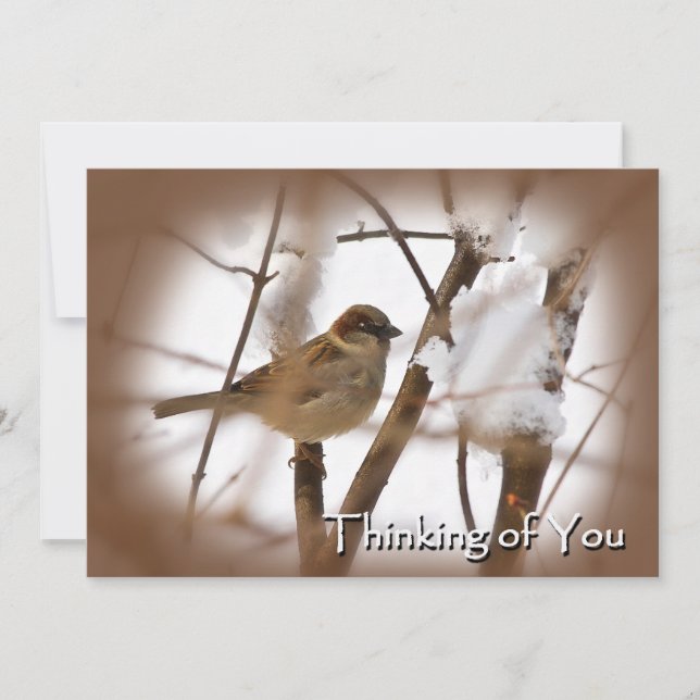 Thinking of You Cards - Brown with Bird (Front)