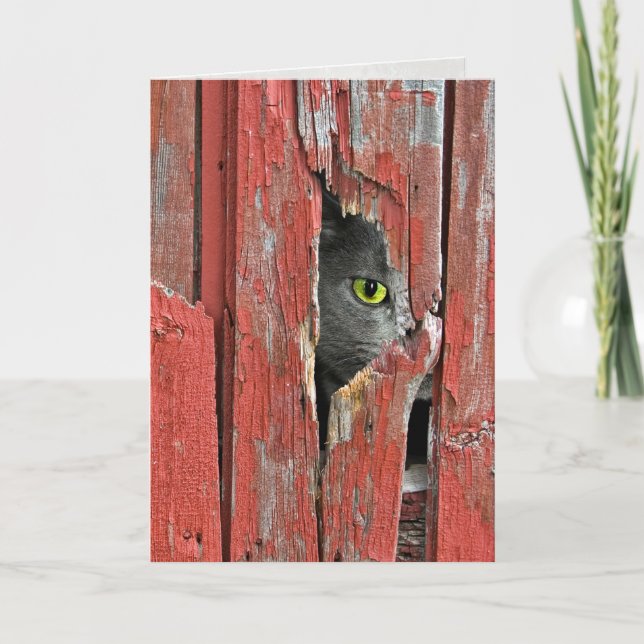 Thinking of You Cat Card (Front)