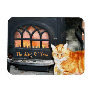 Thinking Of You Cat Magnet