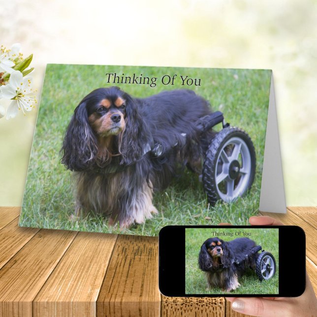 Thinking Of You Cavalier King Charles Disability C Card (Creator Uploaded)