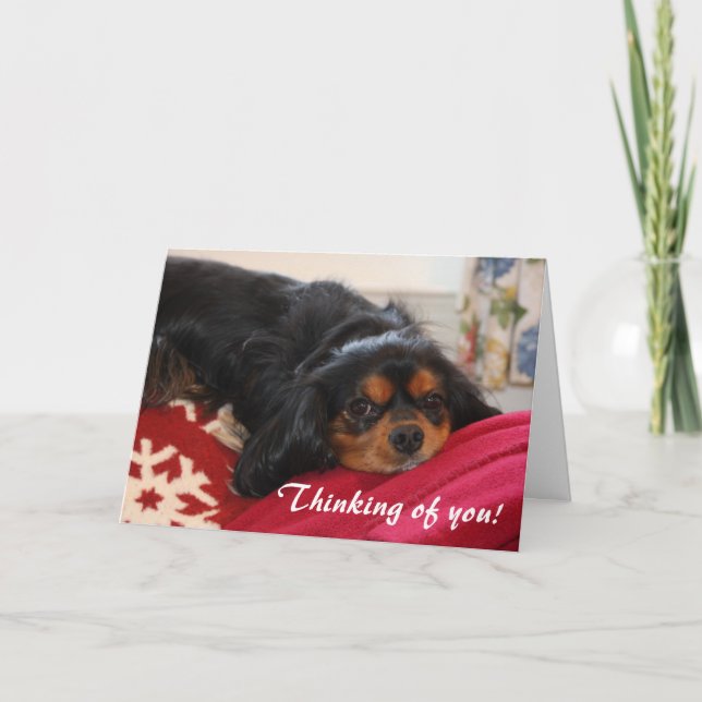 Thinking of You Cavalier King Charles Spaniel  Card (Front)