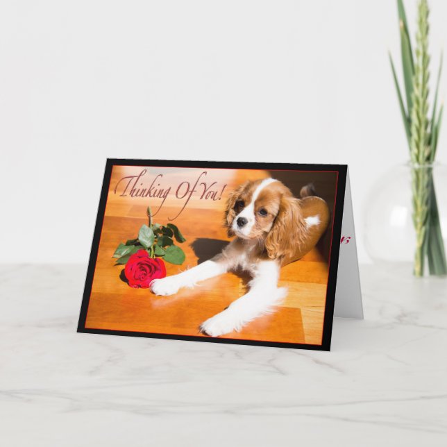 Thinking Of You Cavalier King Charles Spaniel Pup Card (Front)