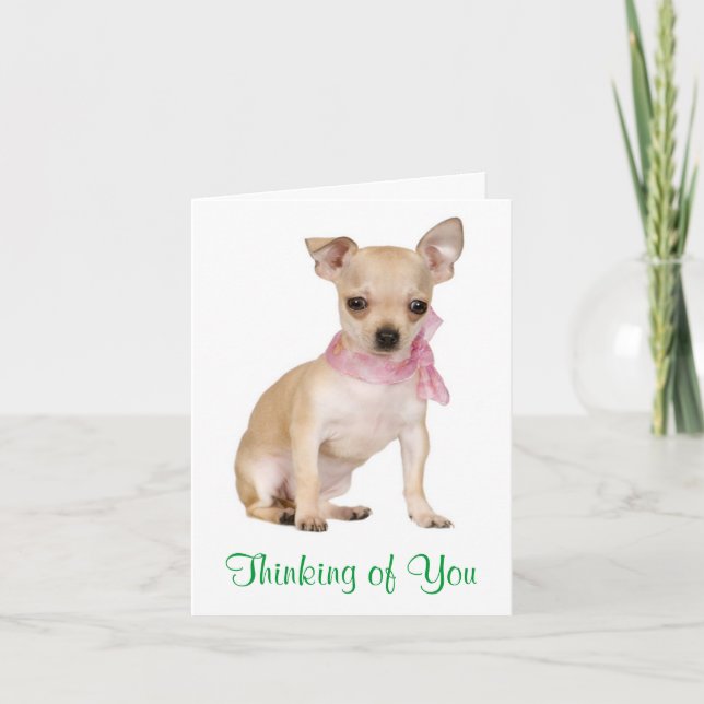 Thinking of  You Chihuahua Puppy Dog Greeting Card (Front)