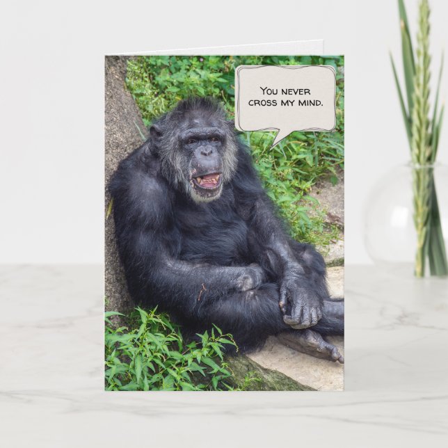 thinking of you Chimpanzee Card (Front)