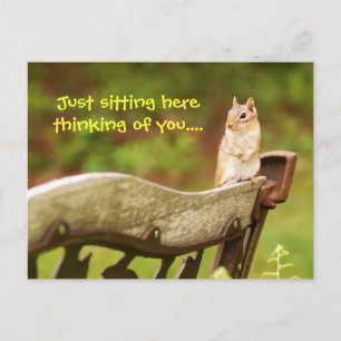 Thinking of you chipmunk postcard