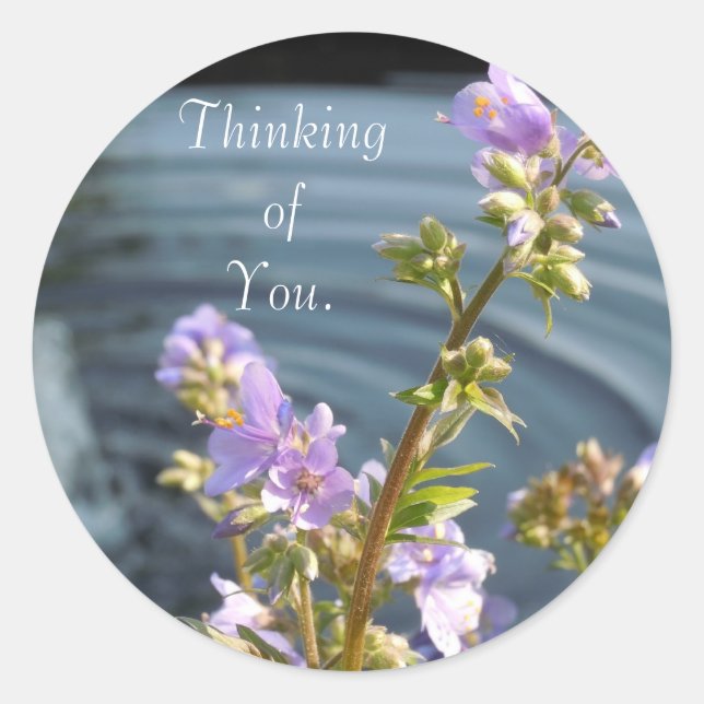 Thinking of You Classic Round Sticker (Front)