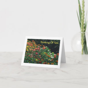 "THINKING OF YOU" /COLORFUL ZINNIA GARDEN/PHOTOG. CARD